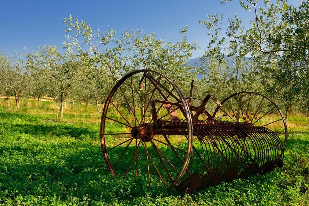 Agriturismo L'Ulivo In Fiore Spoleto Exteriör bild